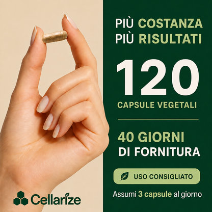 Nattokinase 10.000 FU – Formula Completa 8 in 1